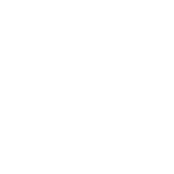 Icon camera